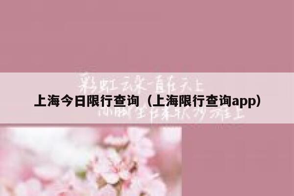上海今日限行查询（上海限行查询app）  第1张