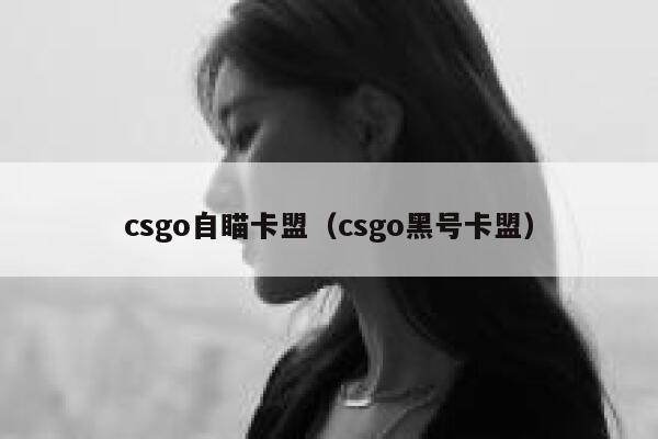 csgo自瞄卡盟（csgo黑号卡盟）  第1张