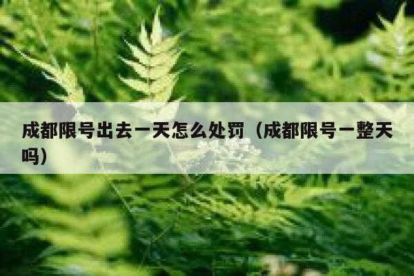 成都限号出去一天怎么处罚（成都限号一整天吗）  第1张