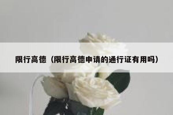限行高德（限行高德申请的通行证有用吗）  第1张