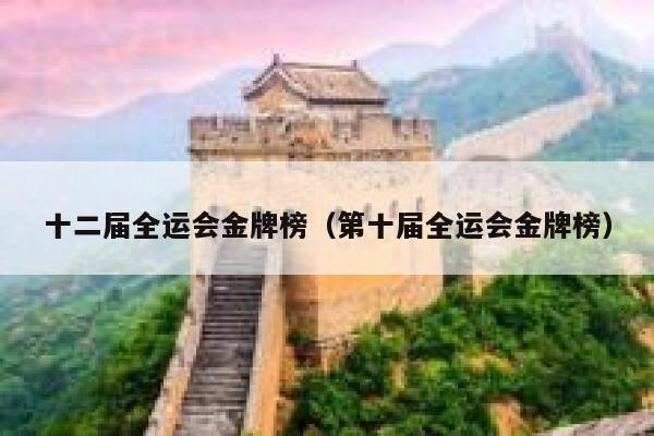 十二届全运会金牌榜（第十届全运会金牌榜）  第1张