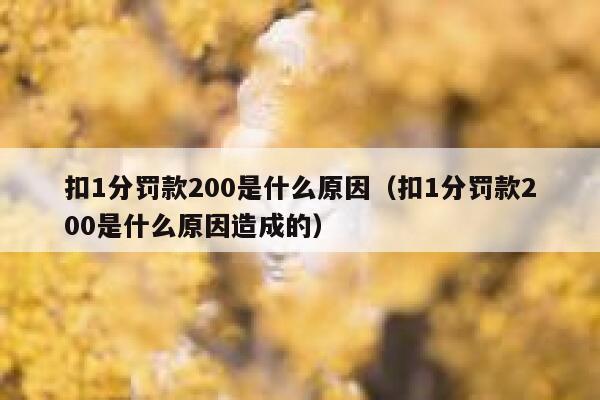 扣1分罚款200是什么原因（扣1分罚款200是什么原因造成的）  第1张