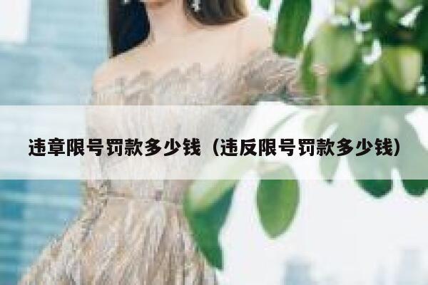 违章限号罚款多少钱（违反限号罚款多少钱）  第1张