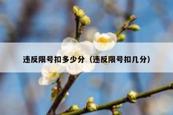违反限号扣多少分（违反限号扣几分）  第1张