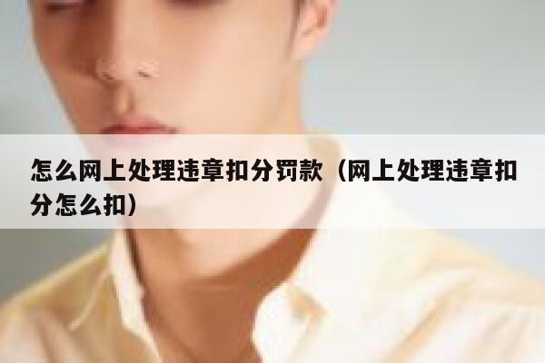 怎么网上处理违章扣分罚款（网上处理违章扣分怎么扣）  第1张