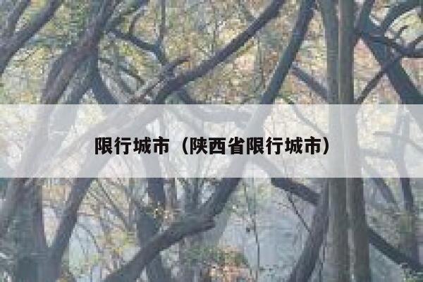 限行城市（陕西省限行城市）  第1张