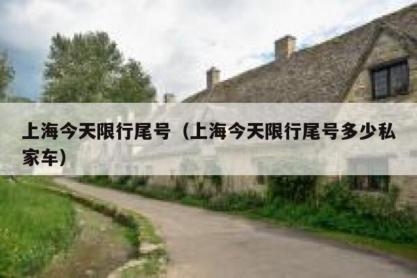 上海今天限行尾号（上海今天限行尾号多少私家车）  第1张