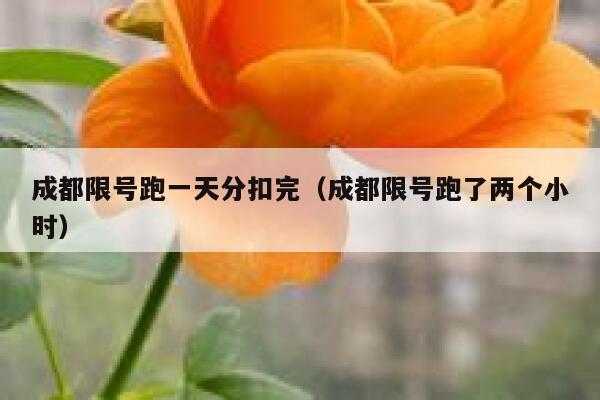 成都限号跑一天分扣完（成都限号跑了两个小时）  第1张