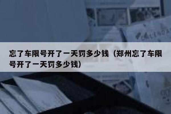 忘了车限号开了一天罚多少钱（郑州忘了车限号开了一天罚多少钱）  第1张