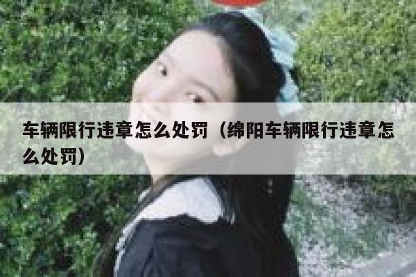 车辆限行违章怎么处罚（绵阳车辆限行违章怎么处罚）  第1张