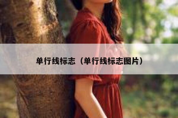 单行线标志（单行线标志图片）  第1张