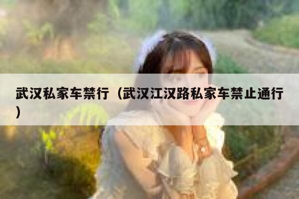武汉私家车禁行（武汉江汉路私家车禁止通行）  第1张