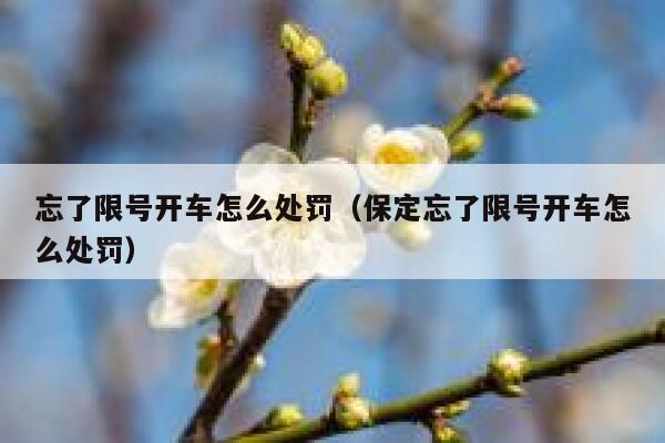 忘了限号开车怎么处罚（保定忘了限号开车怎么处罚）  第1张