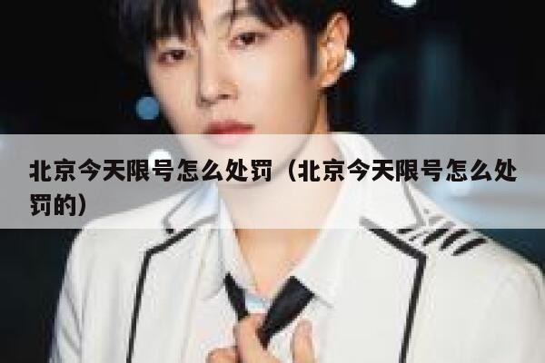 北京今天限号怎么处罚（北京今天限号怎么处罚的）  第1张