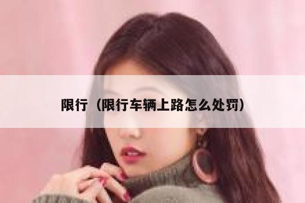 限行（限行车辆上路怎么处罚）  第1张