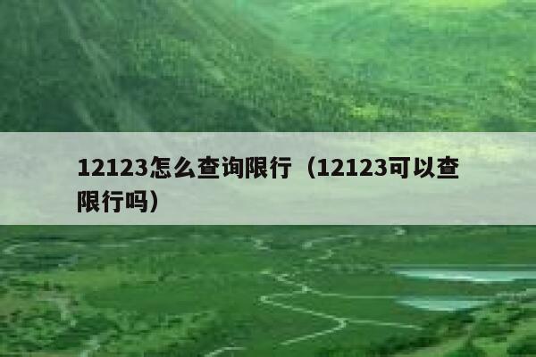 12123怎么查询限行（12123可以查限行吗）  第1张