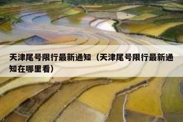 天津尾号限行最新通知（天津尾号限行最新通知在哪里看）  第1张