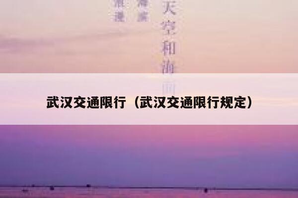 武汉交通限行（武汉交通限行规定）  第1张
