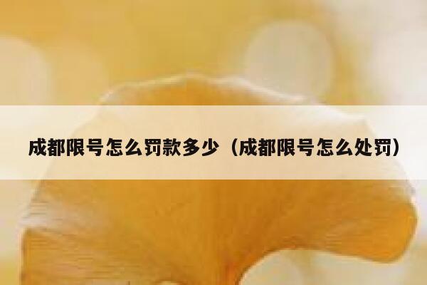 成都限号怎么罚款多少（成都限号怎么处罚）  第1张