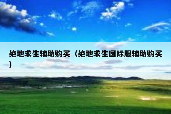 绝地求生辅助购买（绝地求生国际服辅助购买）  第1张