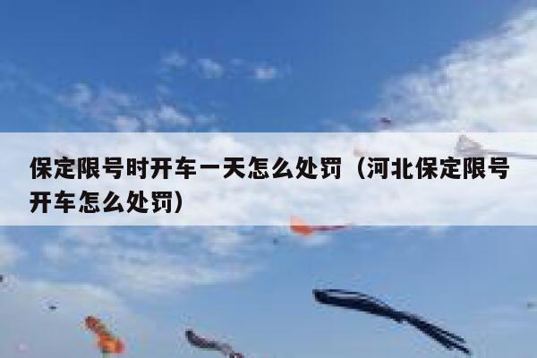保定限号时开车一天怎么处罚（河北保定限号开车怎么处罚）  第1张