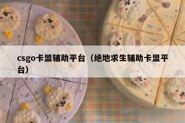 csgo卡盟辅助平台（绝地求生辅助卡盟平台）  第1张