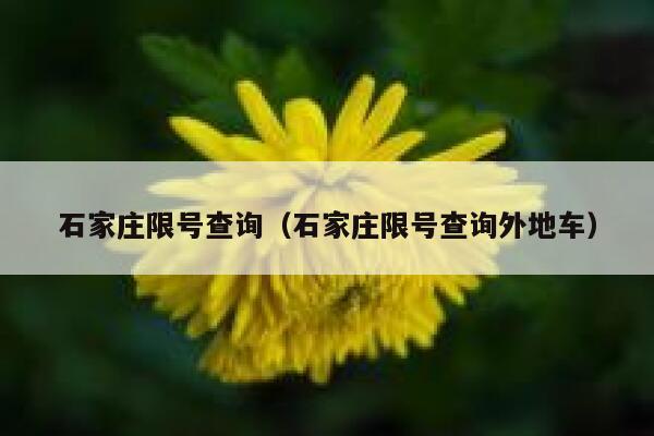 石家庄限号查询（石家庄限号查询外地车）  第1张