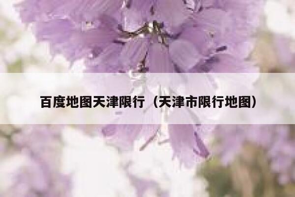 百度地图天津限行（天津市限行地图）  第1张