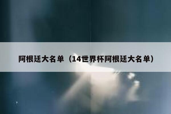 阿根廷大名单（14世界杯阿根廷大名单）  第1张