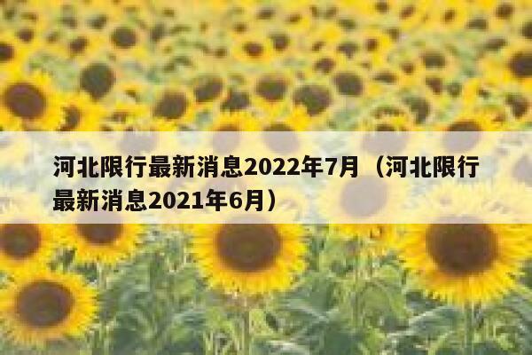 河北限行最新消息2022年7月（河北限行最新消息2021年6月）  第1张