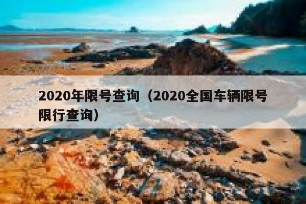 2020年限号查询（2020全国车辆限号限行查询）  第1张
