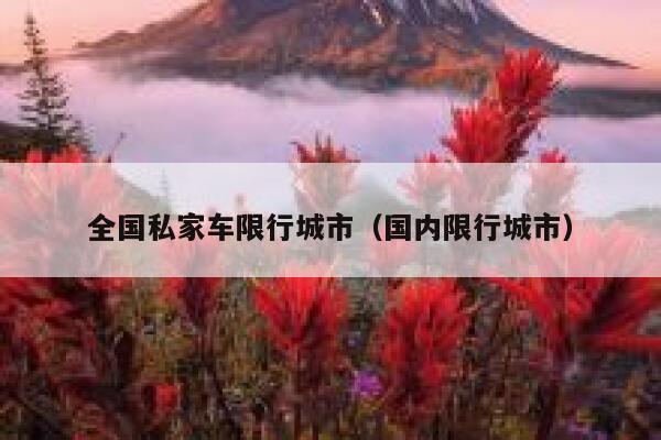 全国私家车限行城市（国内限行城市）  第1张