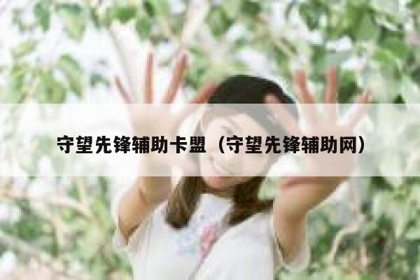 守望先锋辅助卡盟（守望先锋辅助网）  第1张
