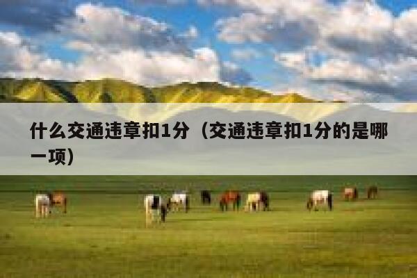 什么交通违章扣1分（交通违章扣1分的是哪一项）  第1张