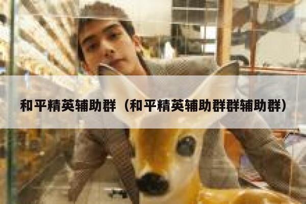 和平精英辅助群（和平精英辅助群群辅助群）  第1张