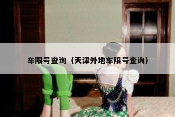 车限号查询（天津外地车限号查询）  第1张
