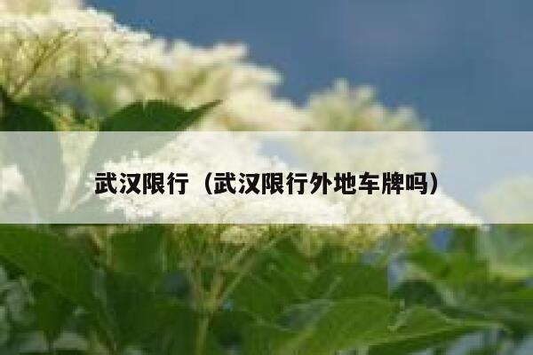 武汉限行（武汉限行外地车牌吗）  第1张