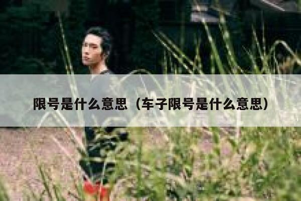 限号是什么意思（车子限号是什么意思）  第1张