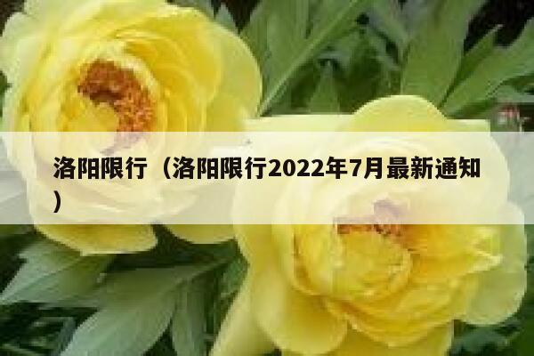 洛阳限行（洛阳限行2022年7月最新通知）  第1张