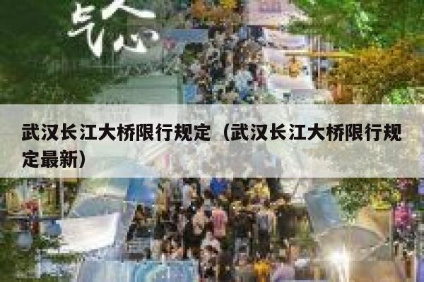 武汉长江大桥限行规定（武汉长江大桥限行规定最新）  第1张