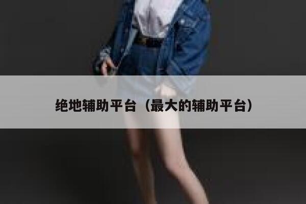 绝地辅助平台（最大的辅助平台）  第1张