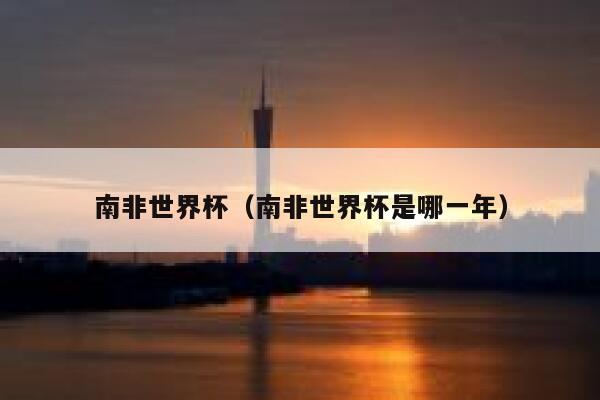 南非世界杯（南非世界杯是哪一年）  第1张