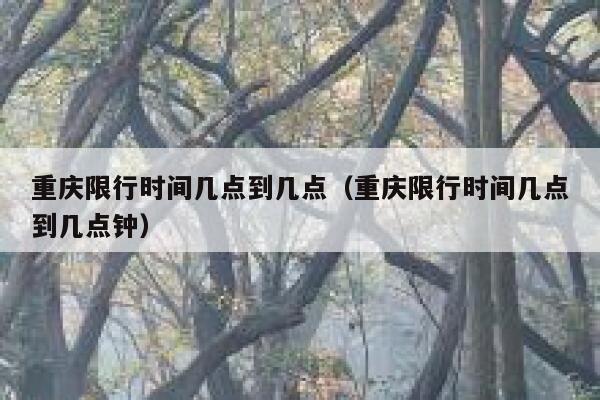 重庆限行时间几点到几点（重庆限行时间几点到几点钟）  第1张