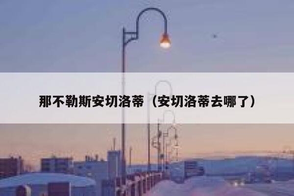 那不勒斯安切洛蒂（安切洛蒂去哪了）  第1张