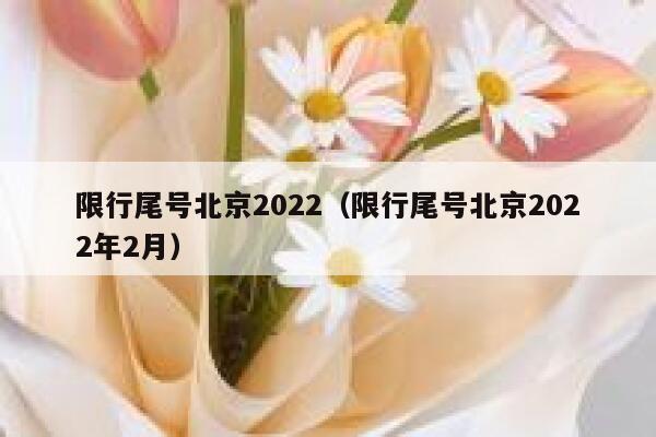 限行尾号北京2022（限行尾号北京2022年2月）  第1张