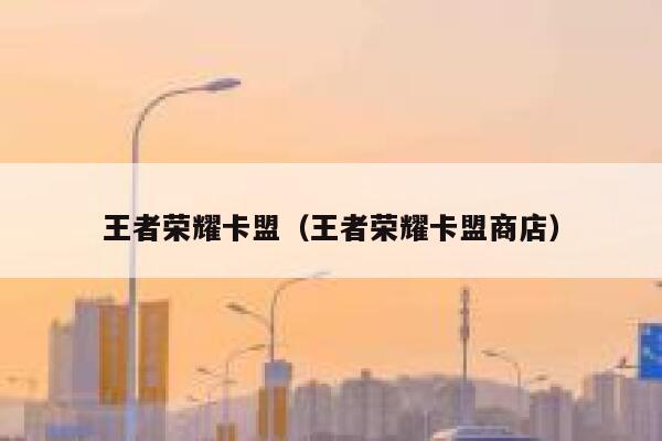 王者荣耀卡盟（王者荣耀卡盟商店）  第1张