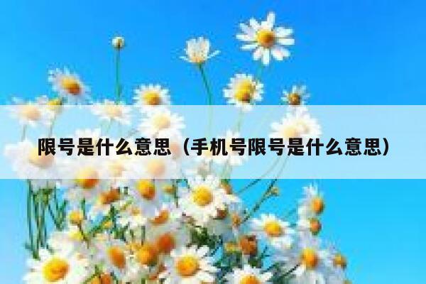 限号是什么意思（手机号限号是什么意思）  第1张