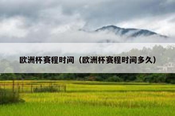 欧洲杯赛程时间（欧洲杯赛程时间多久）  第1张
