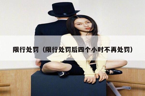 限行处罚（限行处罚后四个小时不再处罚）  第1张
