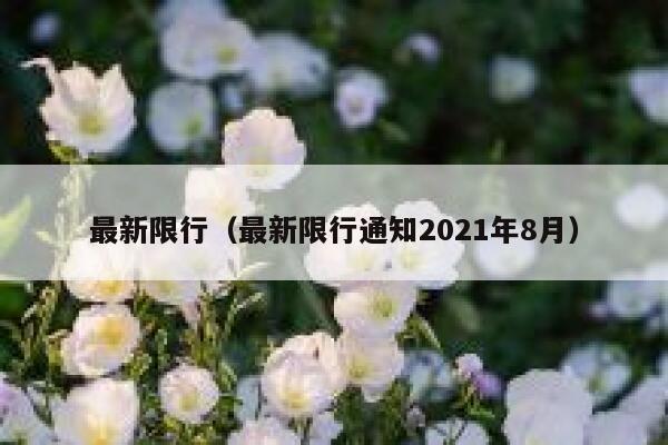 最新限行（最新限行通知2021年8月）  第1张
